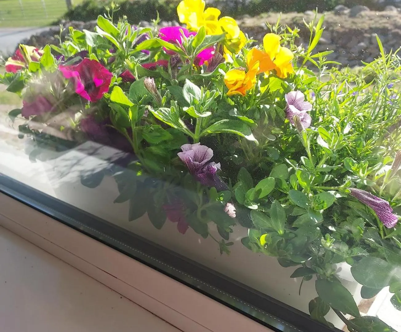 קיל איירן Purple Mountain Cottage וילה קיל איירן