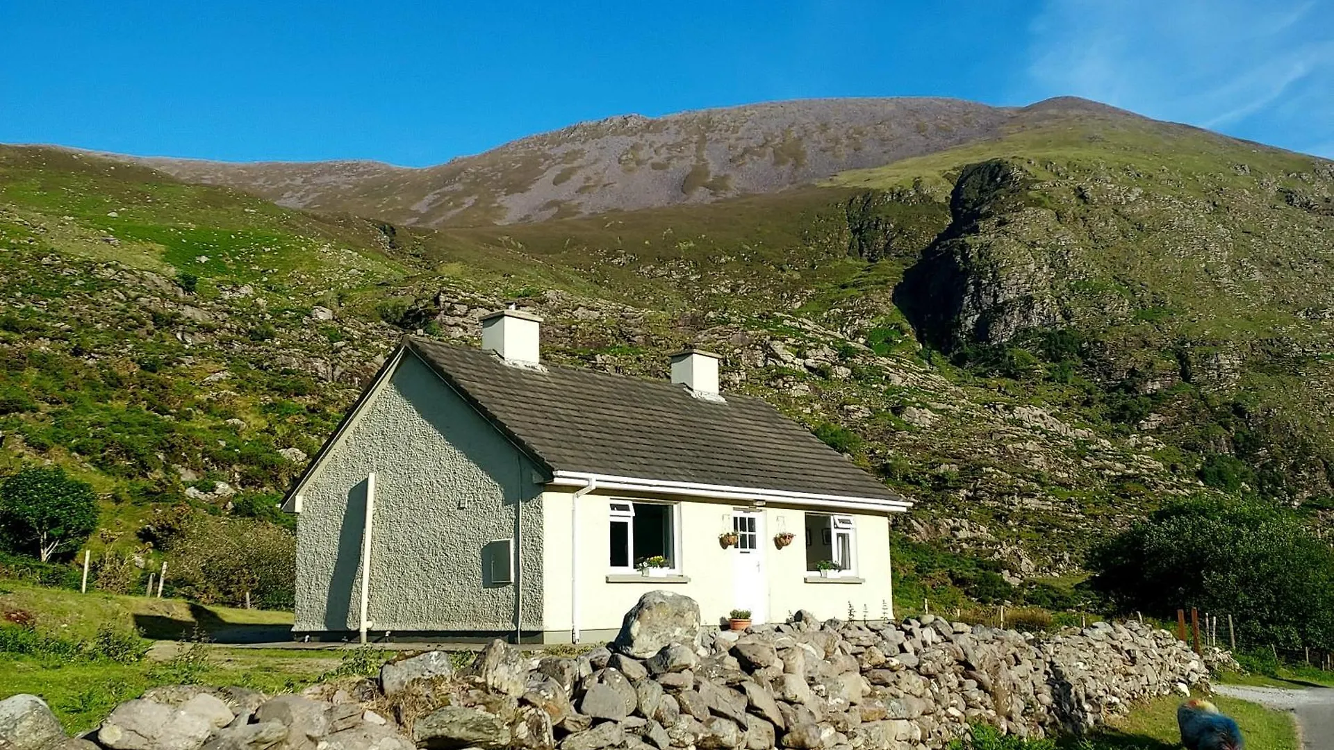 Purple Mountain Cottage Cill Airne Irlanda